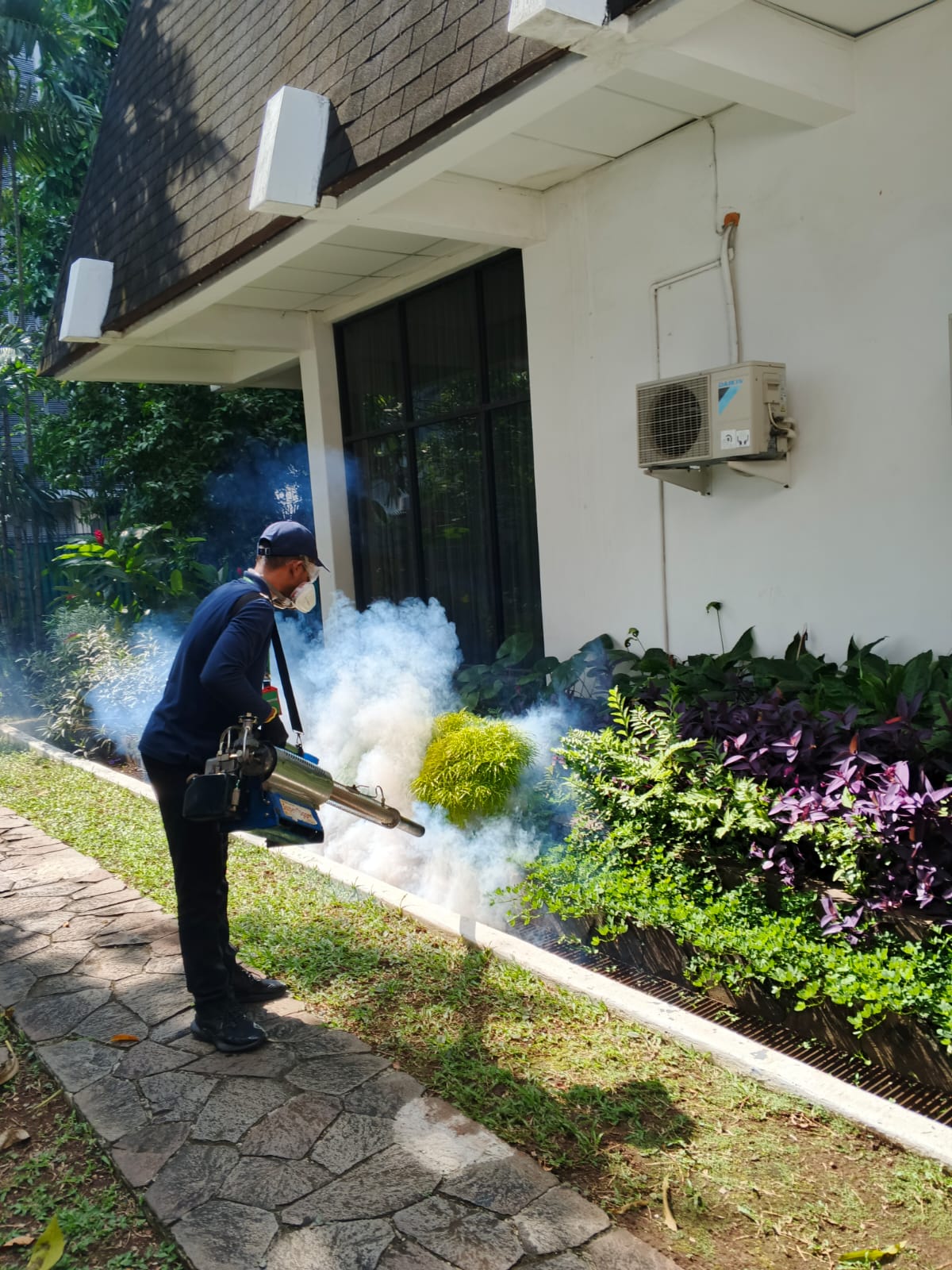 Pest Control